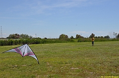 Venice kite festival_0085